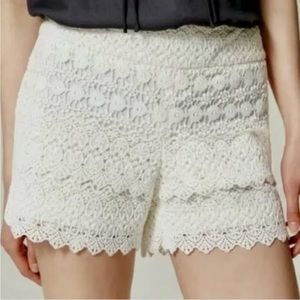 NWT Ann Taylor LOFT Ivory Layered Lace “The Riviera Short”